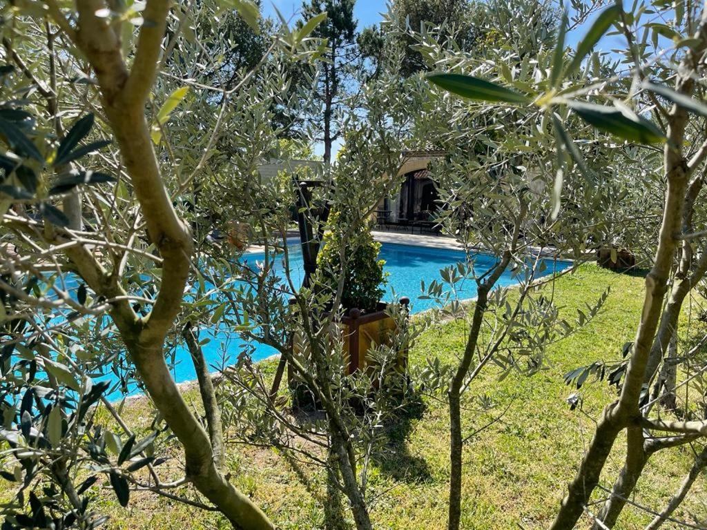 Gite Au Coeur De La Provence & Spa Сен-Канна Екстер'єр фото